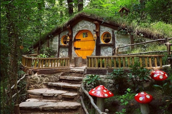 ORMANYA MAŞUKİYE TURU