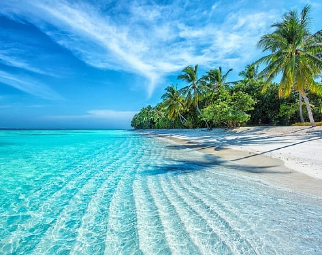 s-604d5054c83ca2e59cf158b2067794163d432017